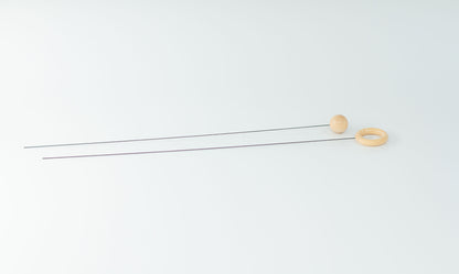 AURON Flex Wechselantennen 2er Set